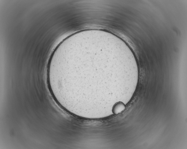 X0000111671187200908141422