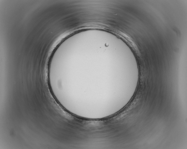 X0000111671188200908141422