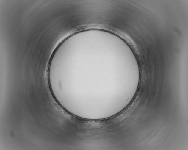 X0000111671190200908141422