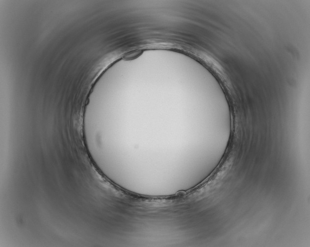 X0000111671193200908141422