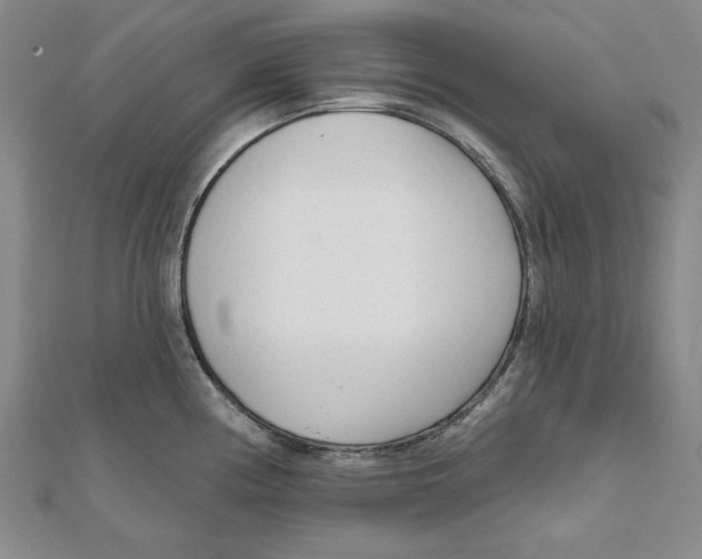 X0000111671194200908141422