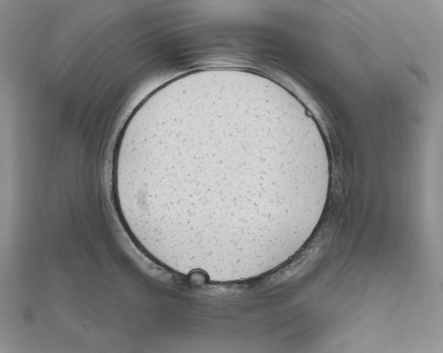 X0000111671195200908141422