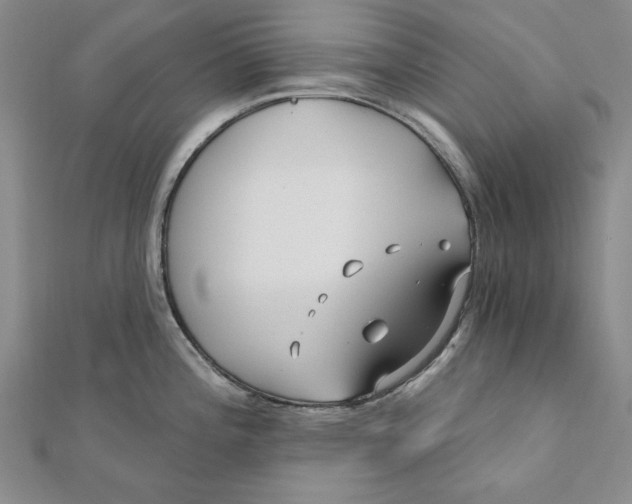 X0000111671196200908141422