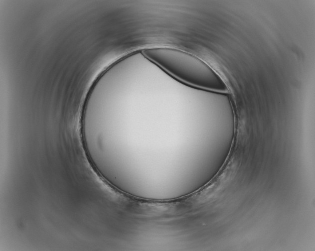 X0000111671197200908141422