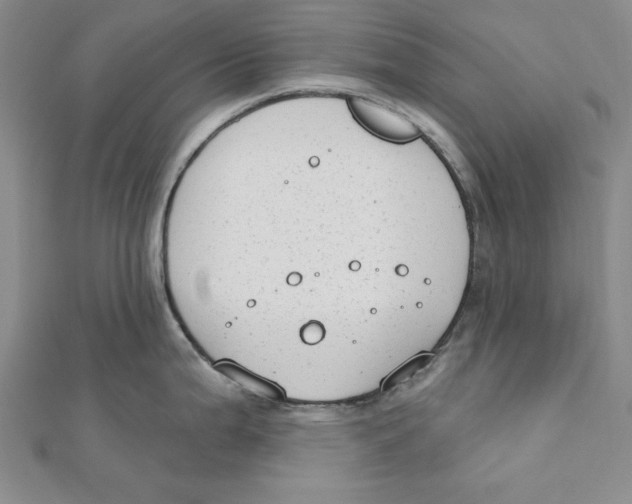 X0000111671199200908141422