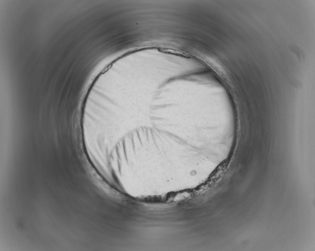 X0000111671200200908141422