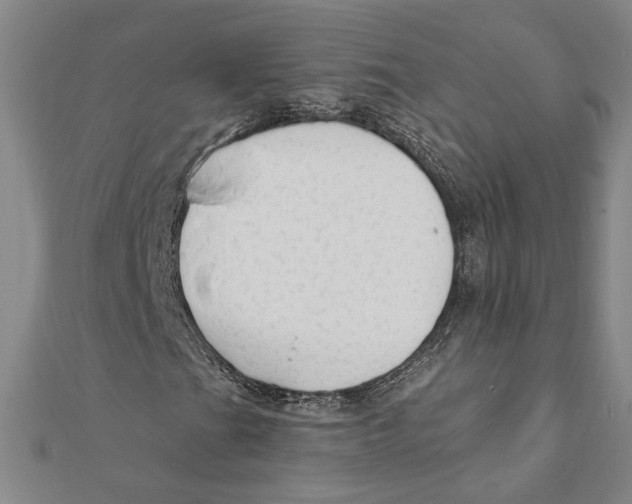 X0000111671201200908141421