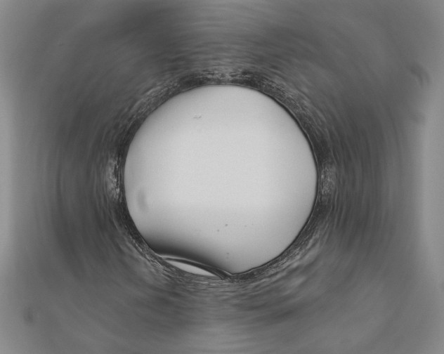 X0000111671202200908141421