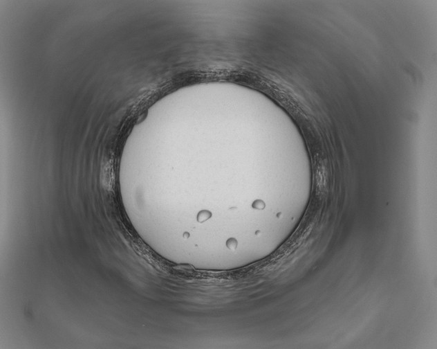 X0000111671204200908141421