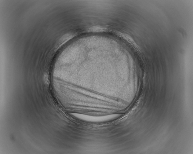 X0000111671209200908141421