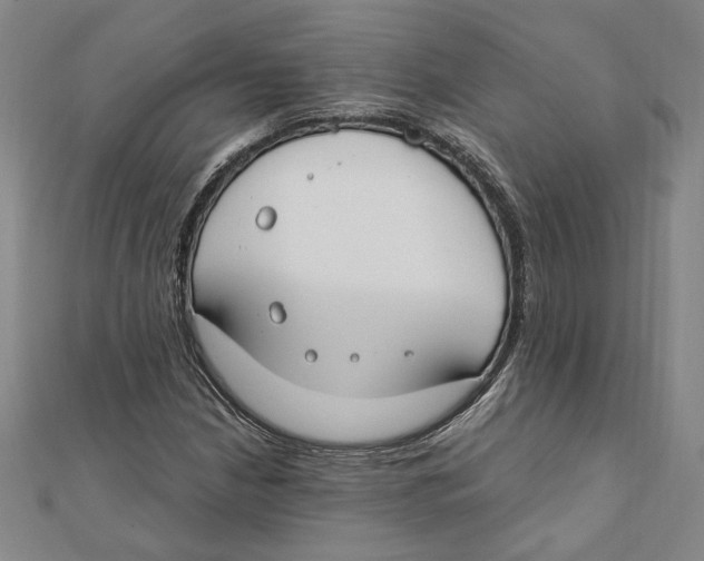 X0000111671210200908141421