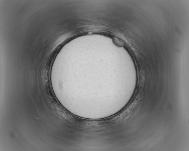 X0000111671211200908141421