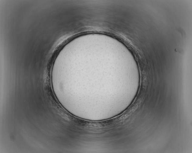 X0000111671215200908141421