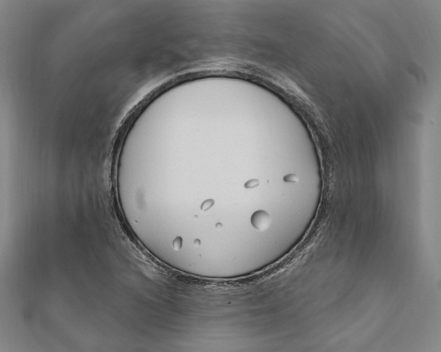 X0000111671216200908141421