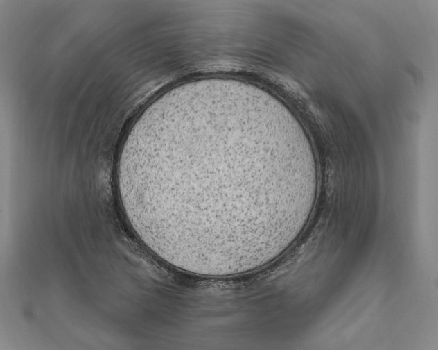 X0000111671217200908141422