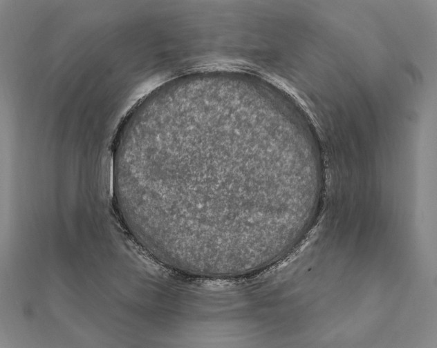 X0000111671219200908141422