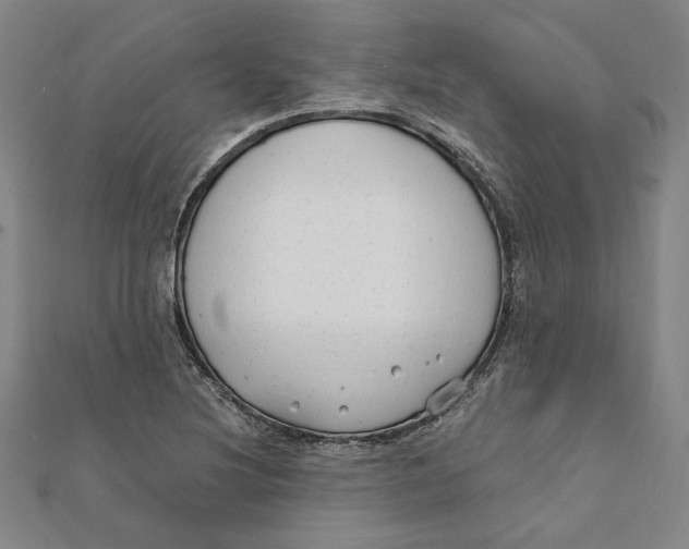 X0000111671220200908141422