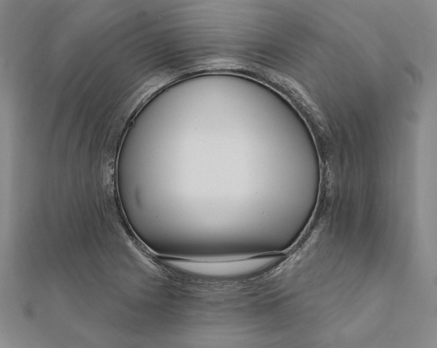 X0000111671225200908141422