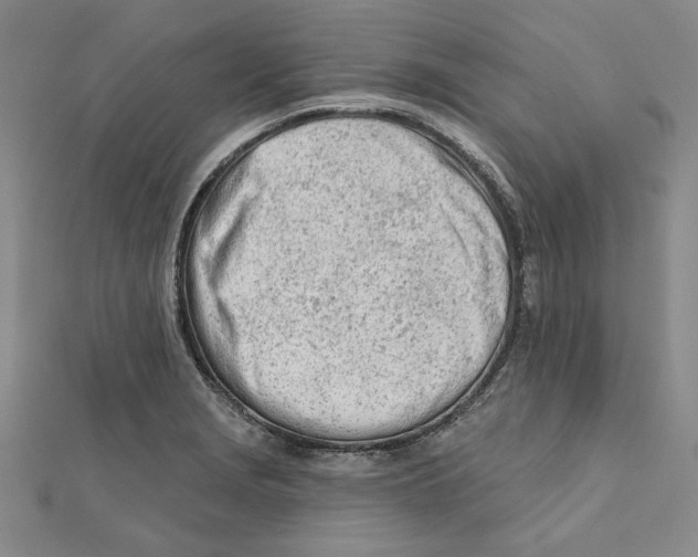 X0000111671229200908141422