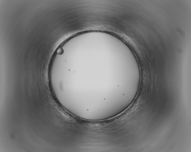 X0000111671230200908141422