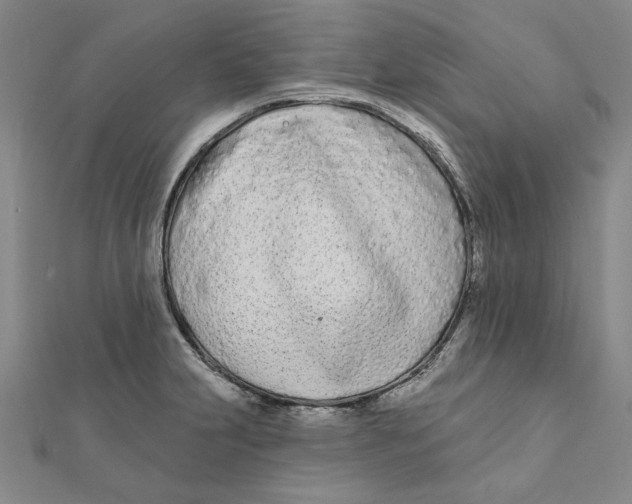 X0000111671231200908141422