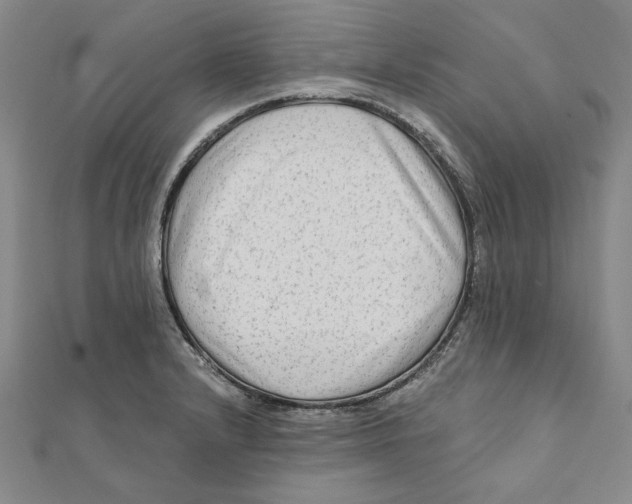 X0000111671232200908141422