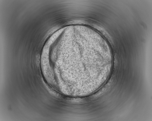 X0000111671233200908141422