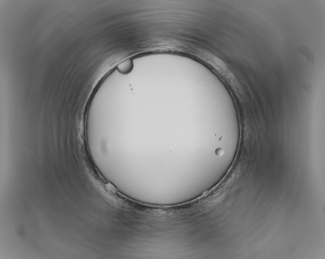 X0000111671234200908141422