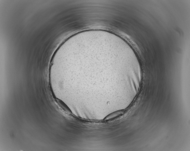 X0000111671236200908141422