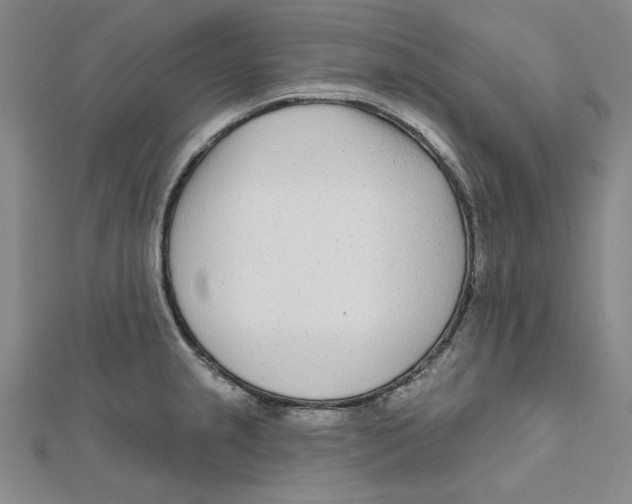 X0000111671237200908141422