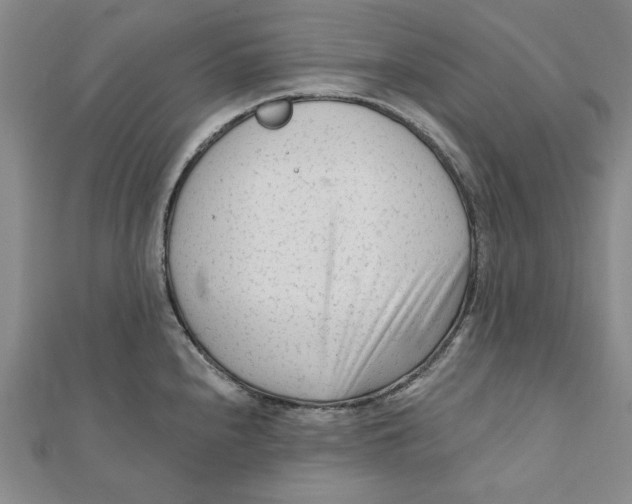 X0000111671240200908141422