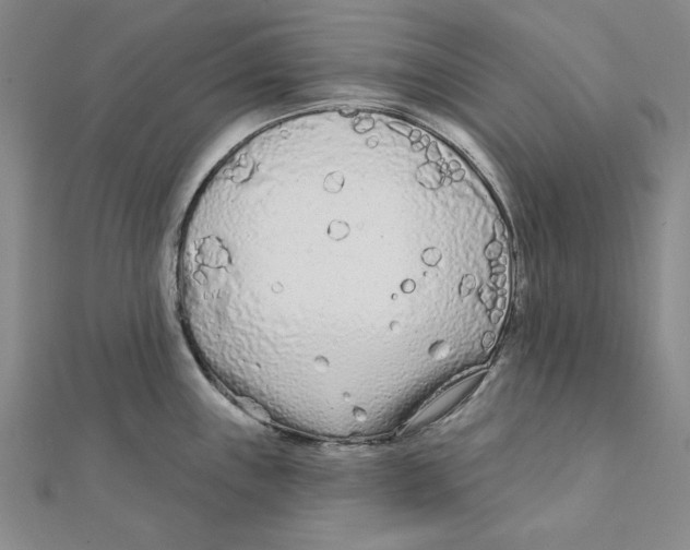 X0000111671243200908141422