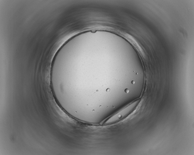 X0000111671244200908141422