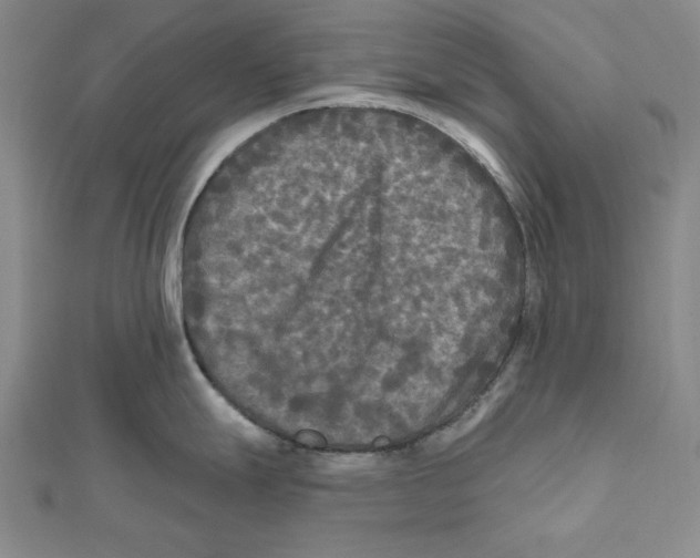 X0000111671247200908141422