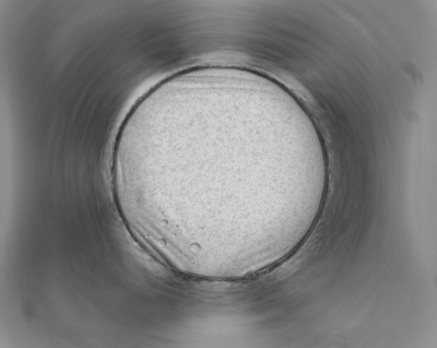 X0000111671248200908141422