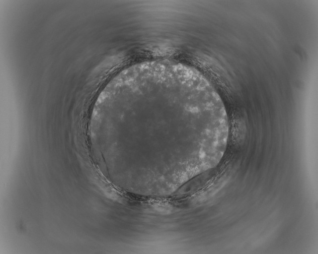 X0000111671249200908141421