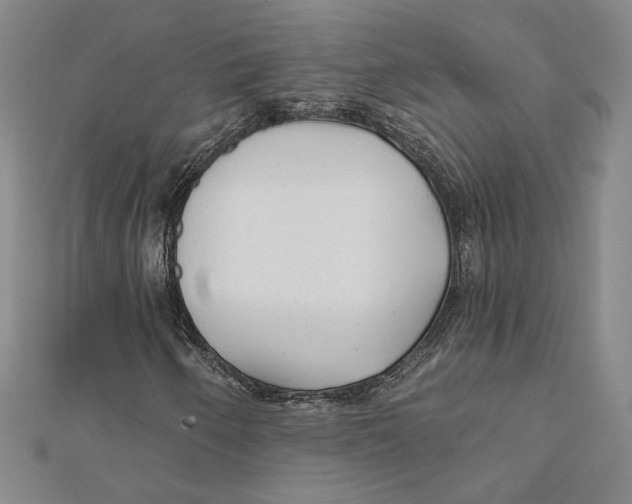 X0000111671250200908141421