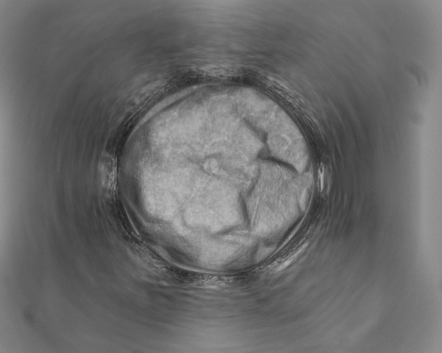 X0000111671251200908141421