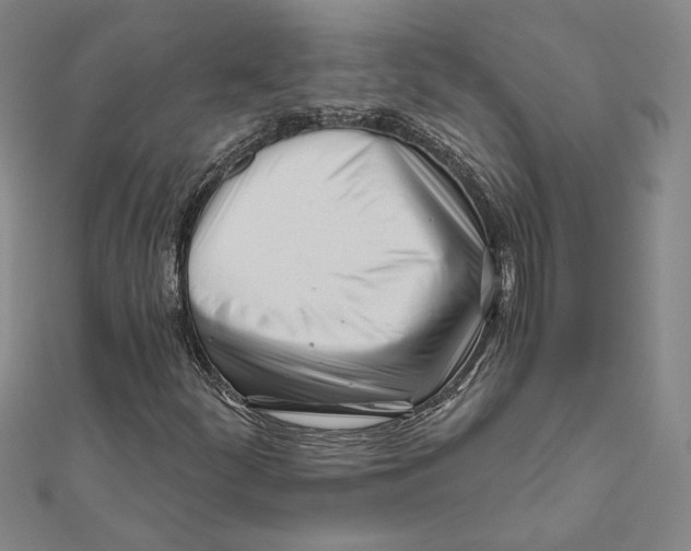 X0000111671252200908141421