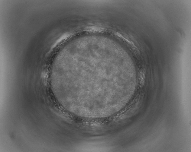 X0000111671254200908141421