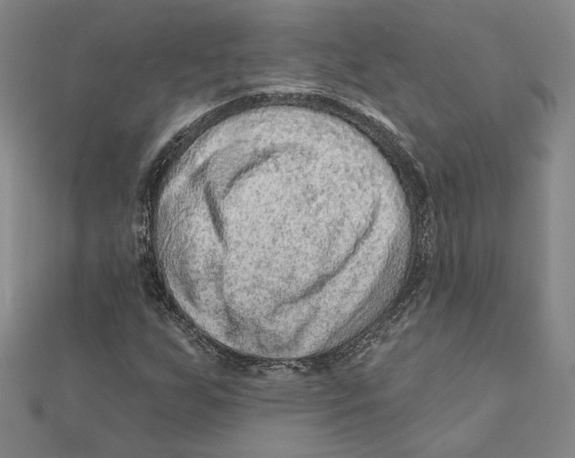 X0000111671255200908141421