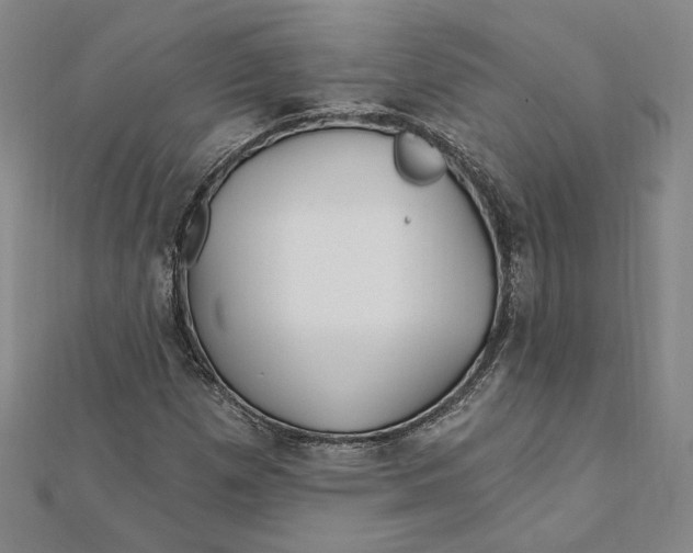 X0000111671257200908141421