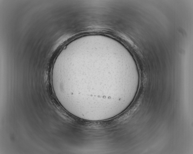 X0000111671259200908141421