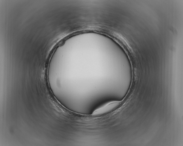 X0000111671260200908141421