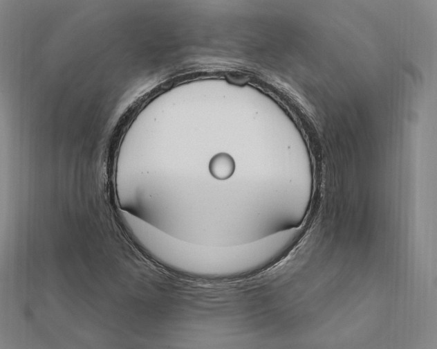 X0000111671261200908141421