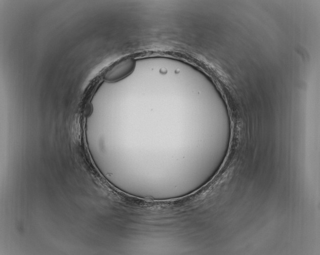 X0000111671262200908141421