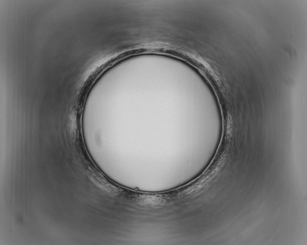 X0000111671263200908141421