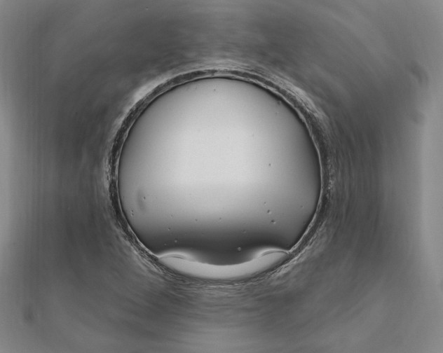 X0000111671264200908141421