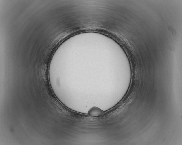 X0000111671265200908141421