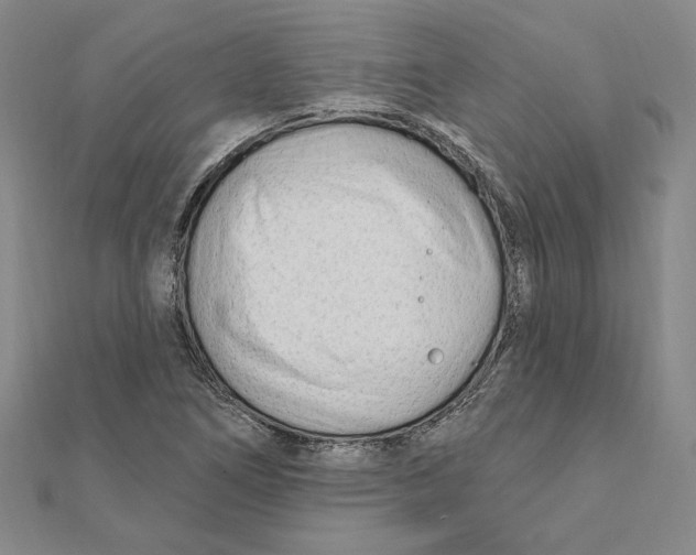 X0000111671266200908141421